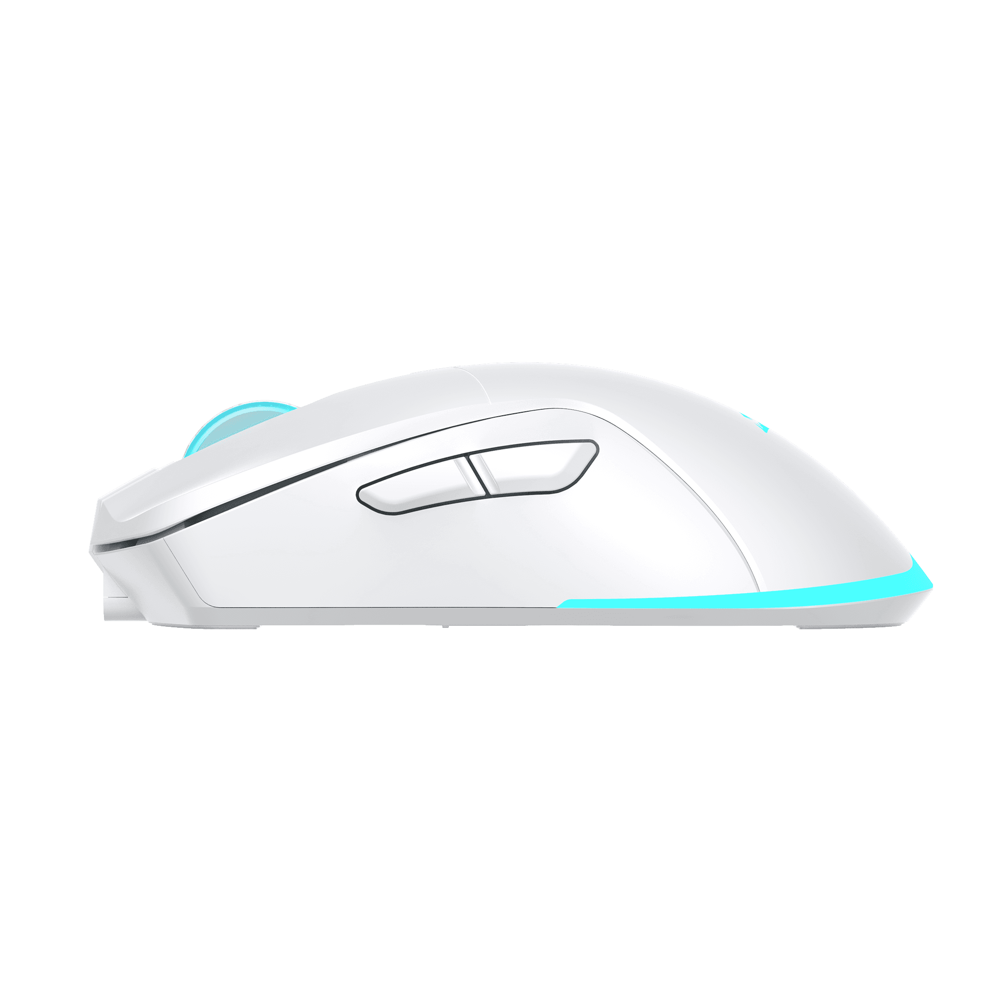 MIŠ BGM-122 TURTLE BIJELI / 3200 dpi Wireless — fotografija 4