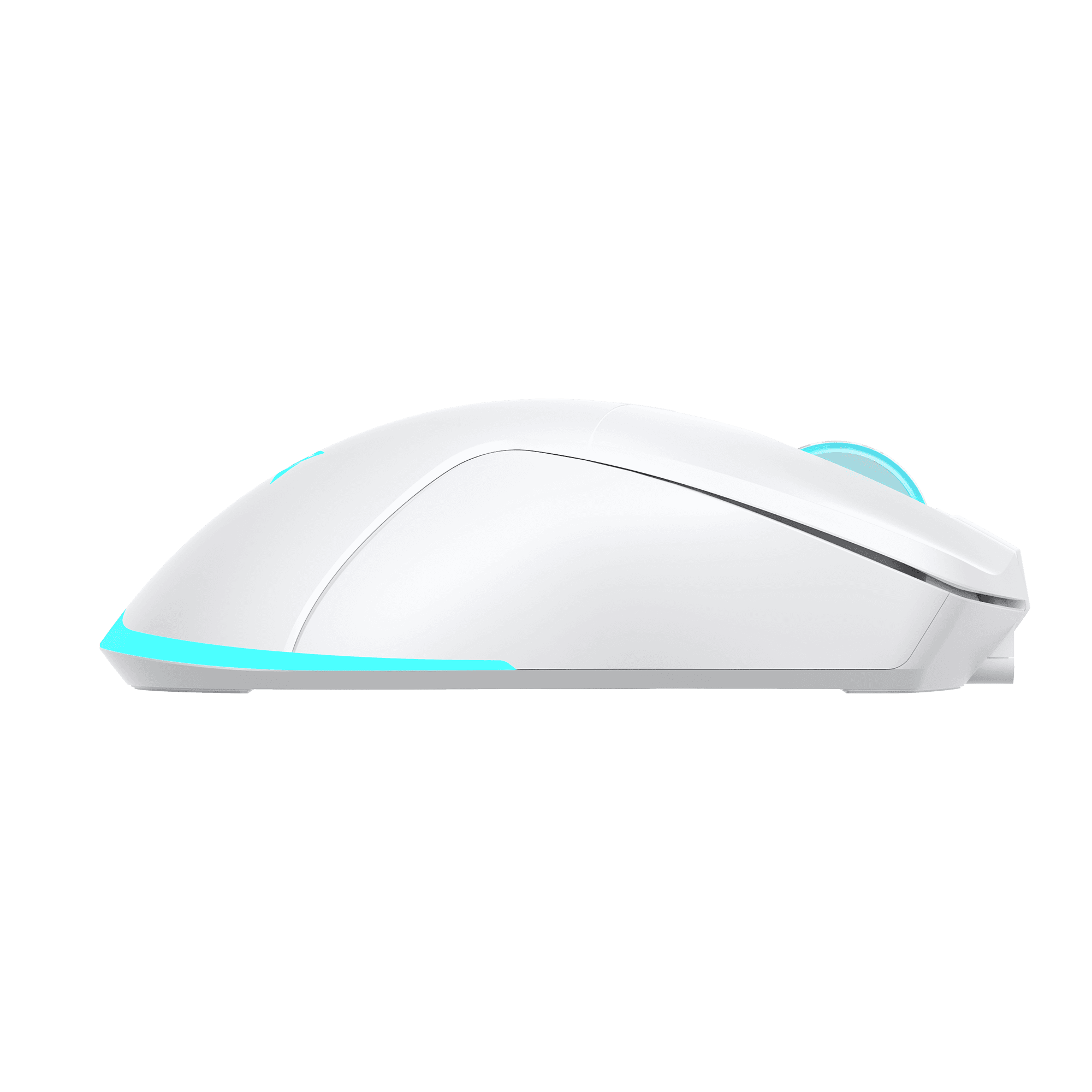 MIŠ BGM-122 TURTLE BIJELI / 3200 dpi Wireless — fotografija 5