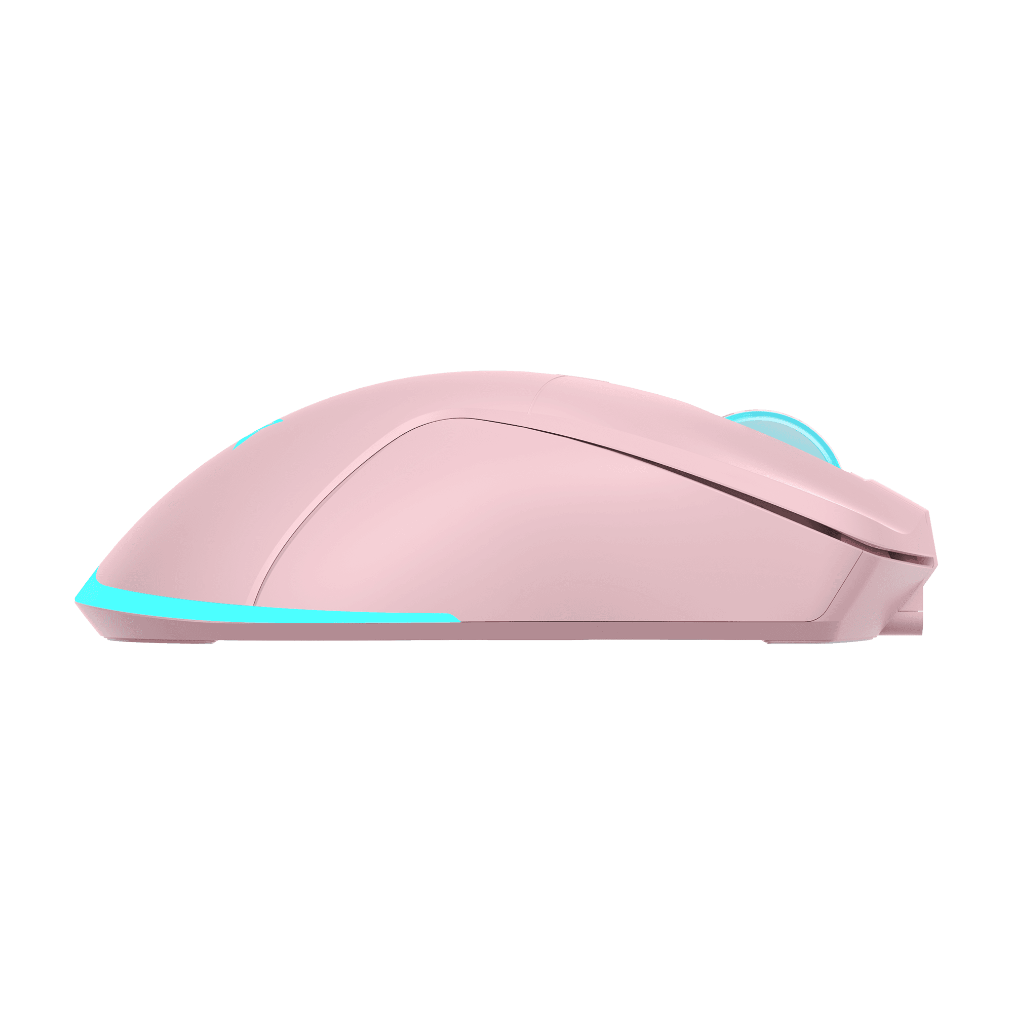 MIŠ BGM-124 TURTLE ROZA / 3200 dpi / Wireless — fotografija 5