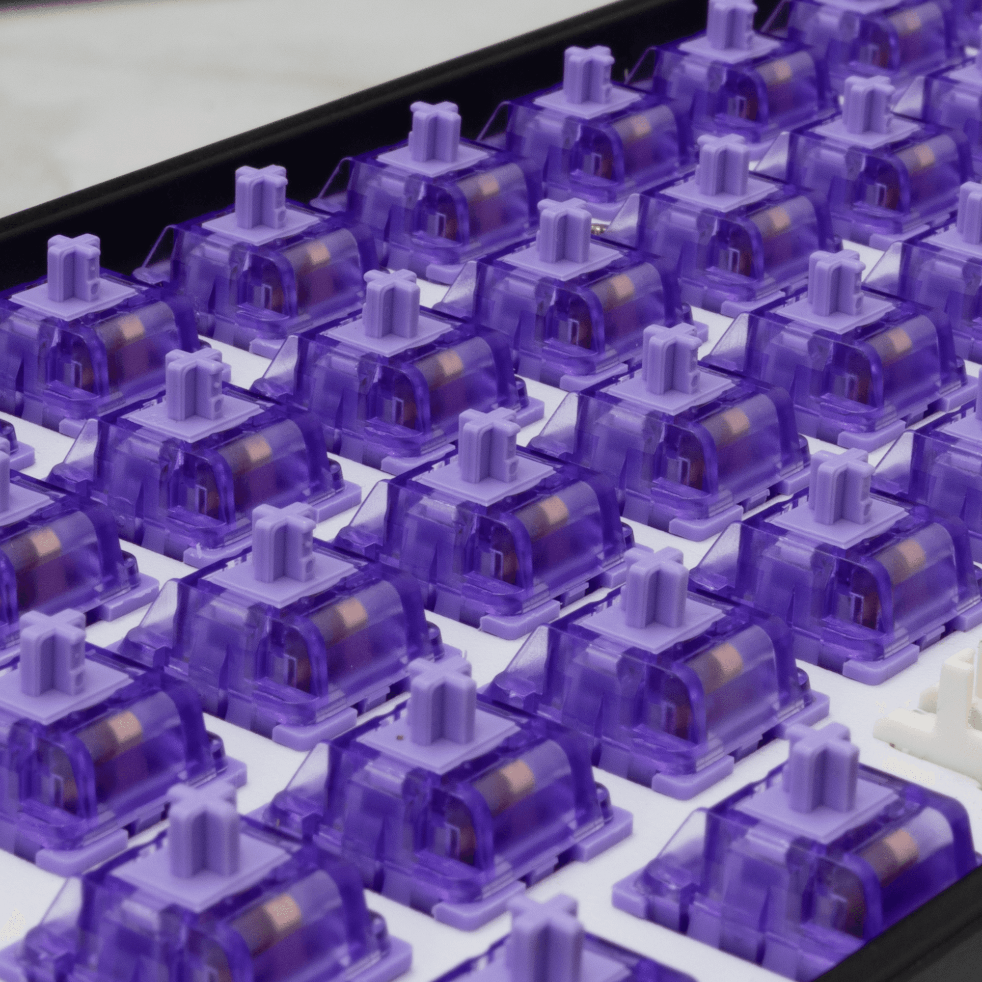 MEHANIČKI PREKIDAČ ZA TIPKOVNICU PURPLEPULSE-25 — fotografija 2