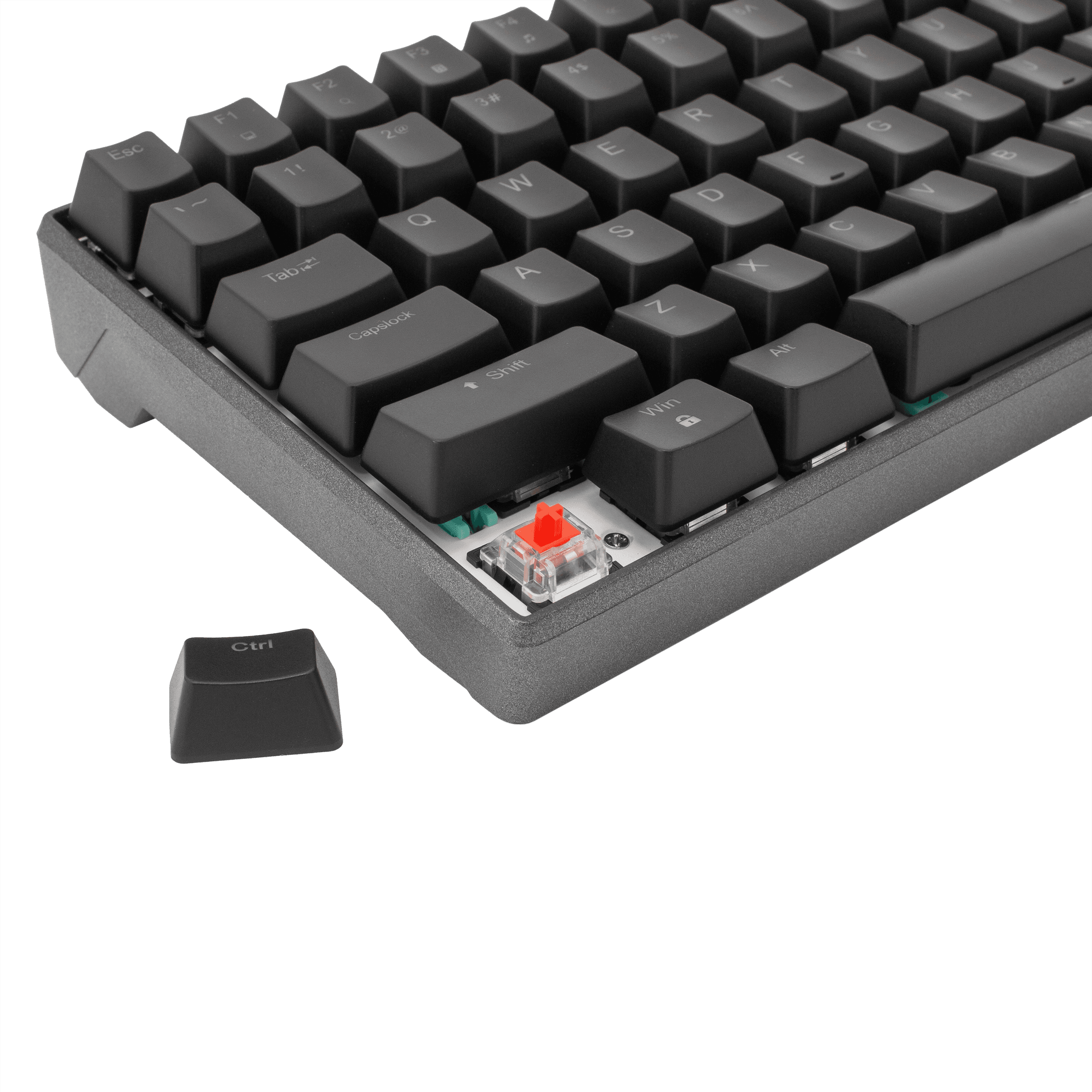 White Shark PL TIPKOVNICA ESL-K2 KATANA / US — fotografija 7