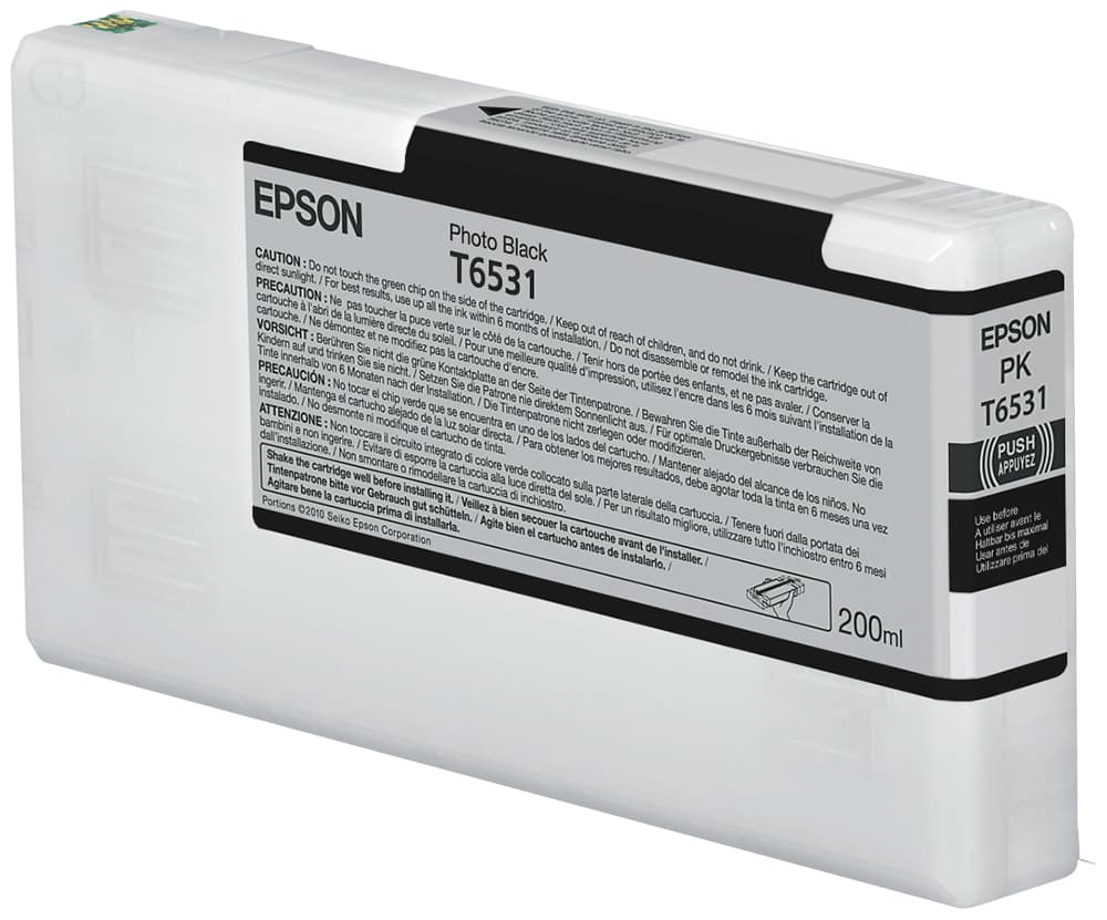 EPSON 5LB T6531 ink cartridge photo