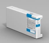 EPSON Single Cleaning Cartridge T699000