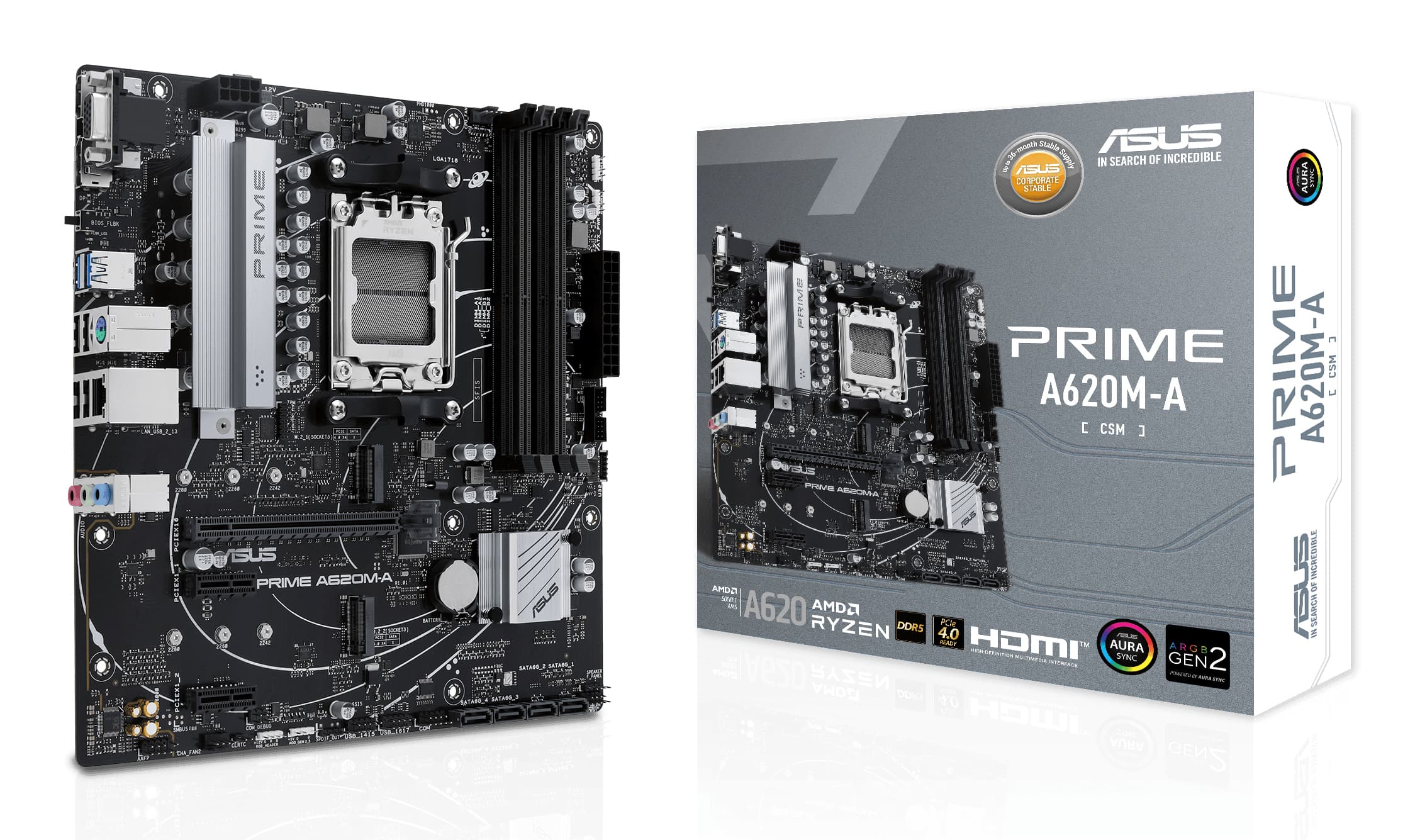 ASUS PRIME A620M-A-CSM MB