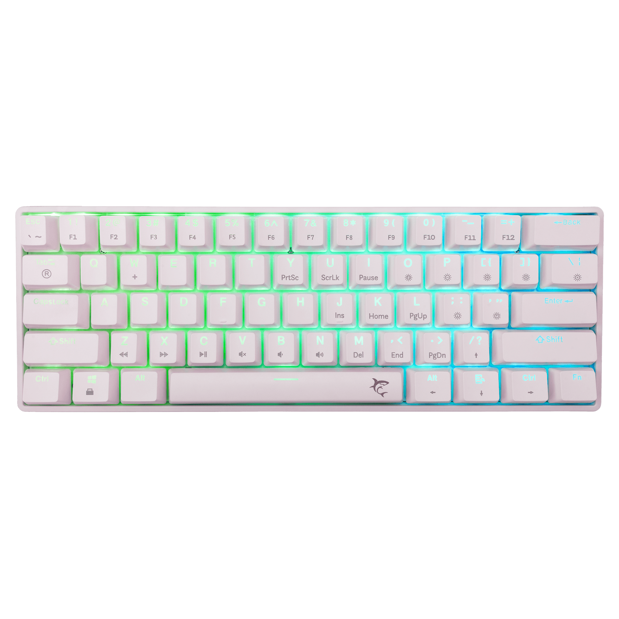 White Shark TIPKOVNICA GK-004221 SHINOBI-2 Bijela - Meh. / US - PLAVI SW.