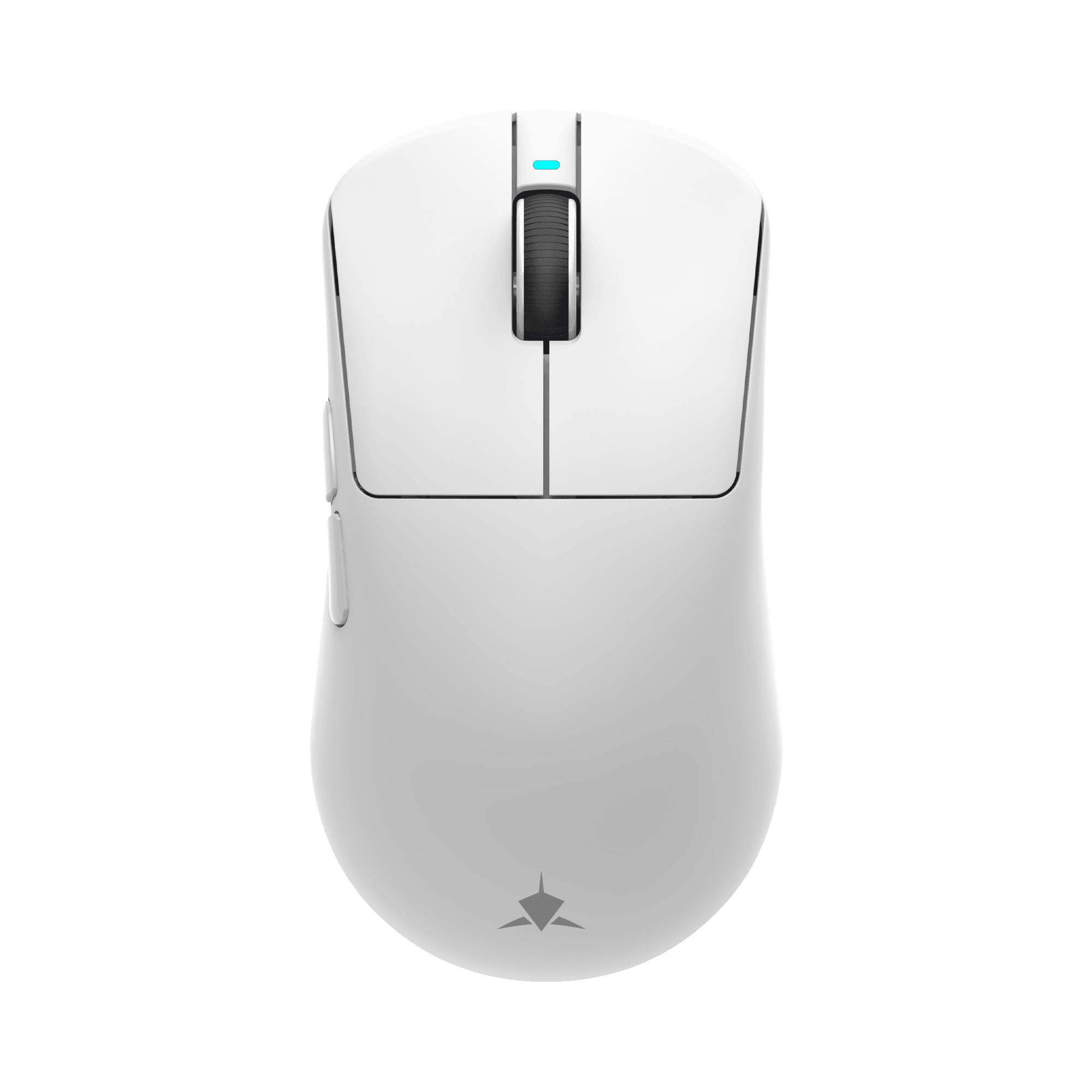 White Shark MIŠ WGM-5021 BORS / 12.000 DPI - Bijeli / Wireless